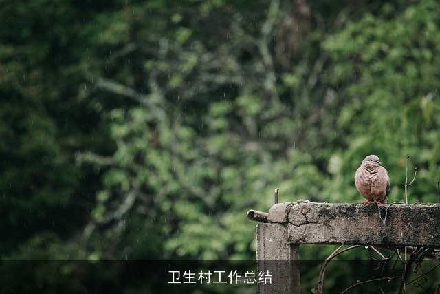 卫生村工作总结