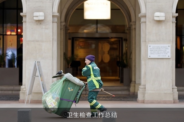 卫生检查工作总结