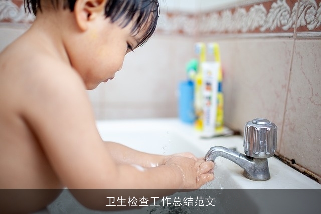卫生检查工作总结范文