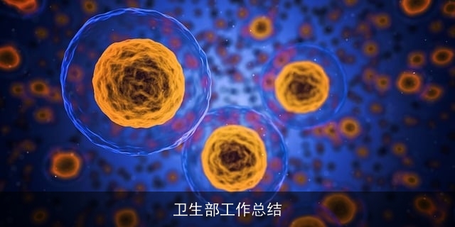 卫生部工作总结