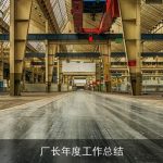 厂长年度工作总结
