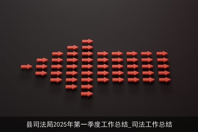 县司法局2025年第一季度工作总结_司法工作总结