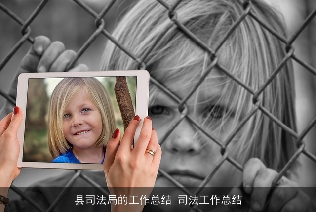 县司法局的工作总结_司法工作总结