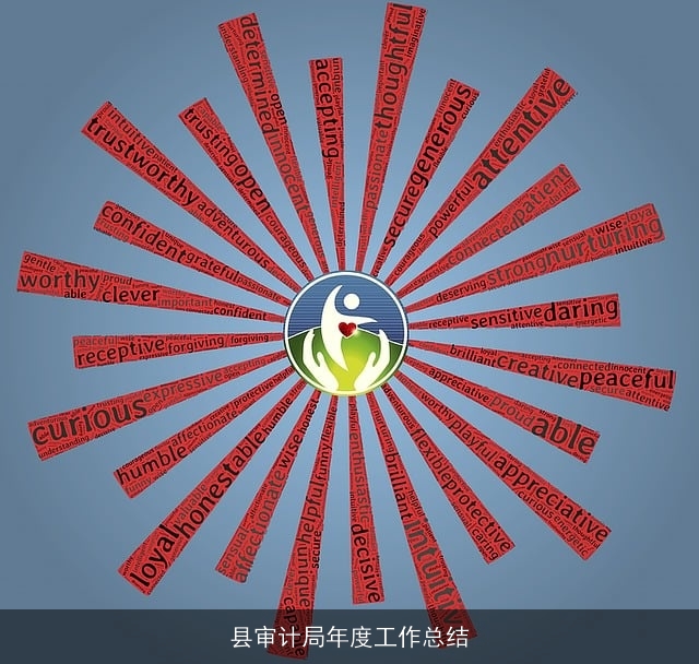 县审计局年度工作总结