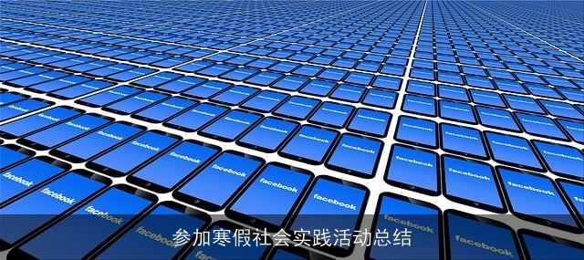 参加寒假社会实践活动总结