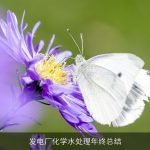 发电厂化学水处理年终总结