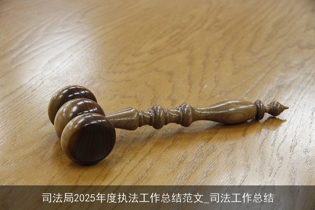 司法局2025年度执法工作总结范文_司法工作总结