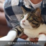 司法局信访2025年终工作总结