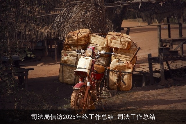 司法局信访2025年终工作总结_司法工作总结