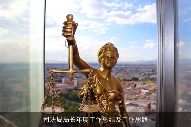司法局局长年度工作总结及工作思路