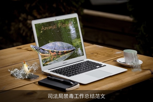 司法局禁毒工作总结范文