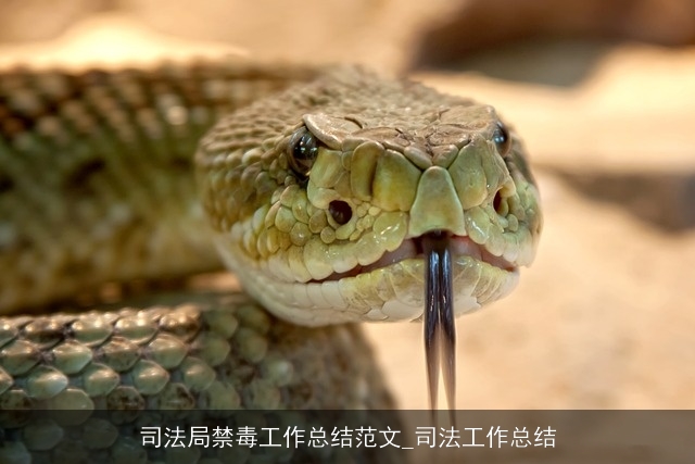 司法局禁毒工作总结范文_司法工作总结