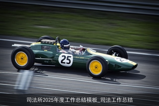 司法所2025年度工作总结模板_司法工作总结