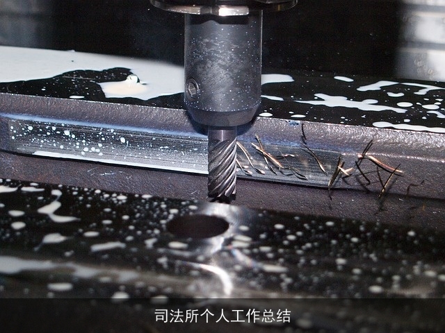 司法所个人工作总结