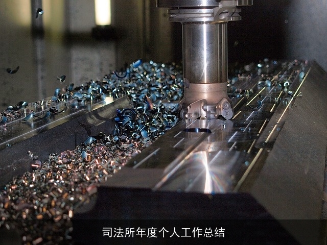 司法所年度个人工作总结