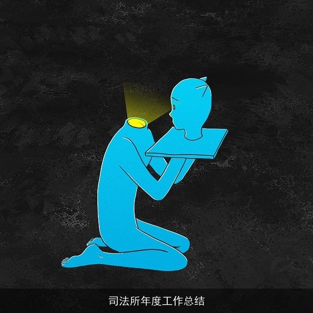 司法所年度工作总结