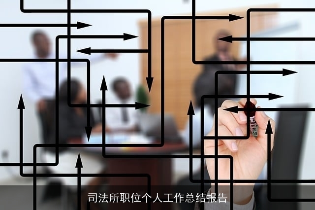 司法所职位个人工作总结报告