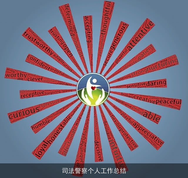 司法警察个人工作总结