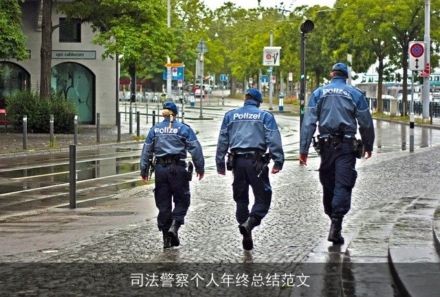司法警察个人年终总结范文