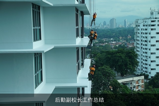 后勤副校长工作总结