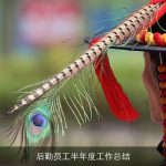 后勤员工半年度工作总结