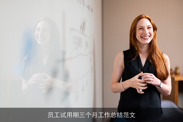 员工试用期三个月工作总结范文