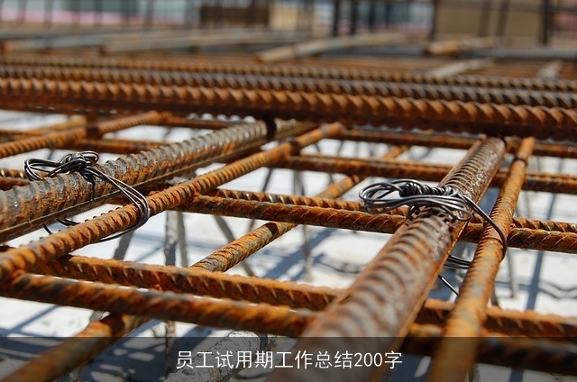 员工试用期工作总结200字