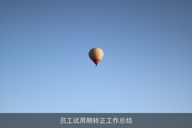 员工试用期转正工作总结