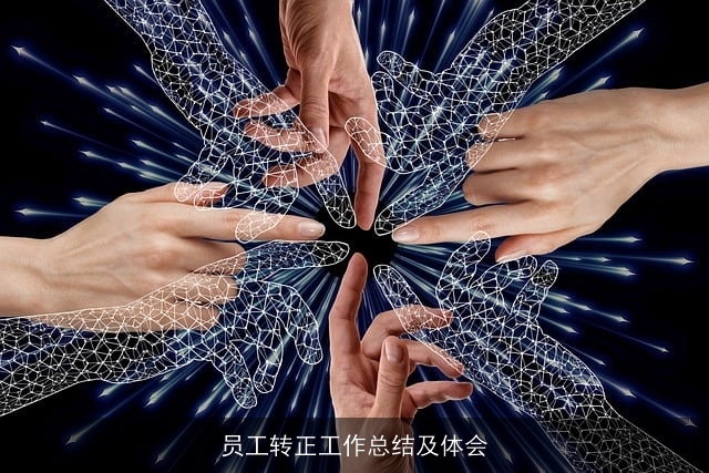 员工转正工作总结及体会