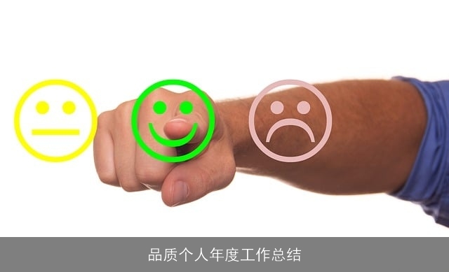 品质个人年度工作总结