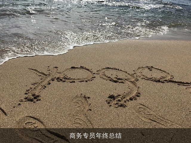 商务专员年终总结