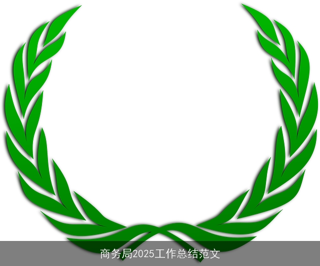 商务局2025工作总结范文