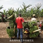 商务局年度工作总结范文