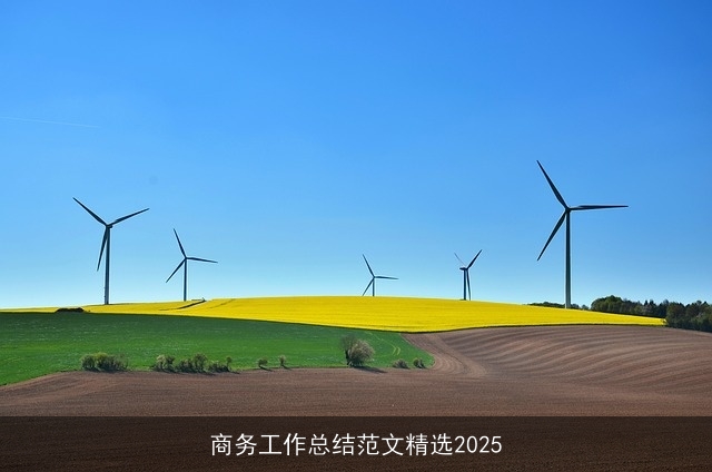 商务工作总结范文精选2025