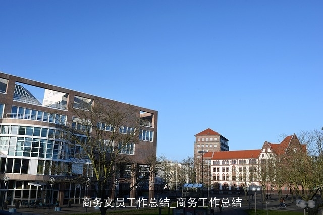 商务文员工作总结_商务工作总结