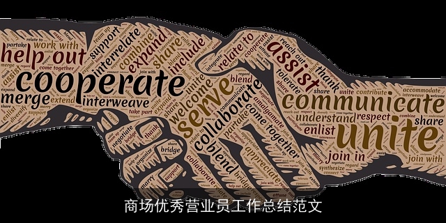 商场优秀营业员工作总结范文