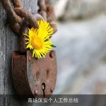 商场保安个人工作总结