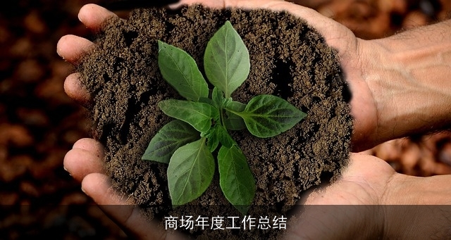 商场年度工作总结