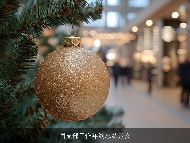 团支部工作年终总结范文