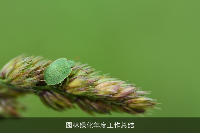 园林绿化年度工作总结