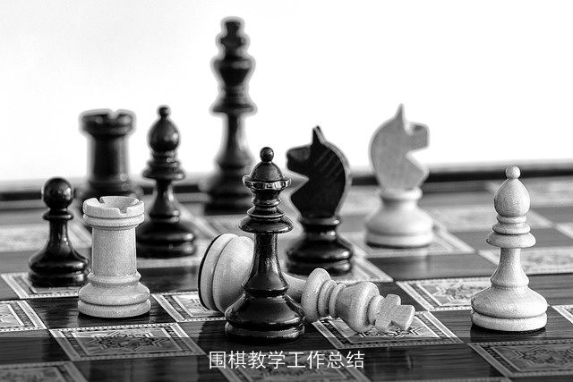 围棋教学工作总结
