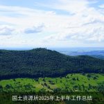 国土资源所2025年上半年工作总结