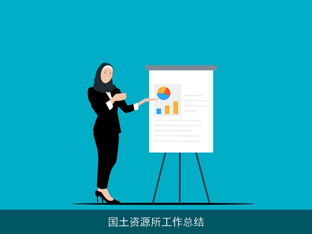 国土资源所工作总结