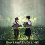 国家安全教育日宣传活动工作总结