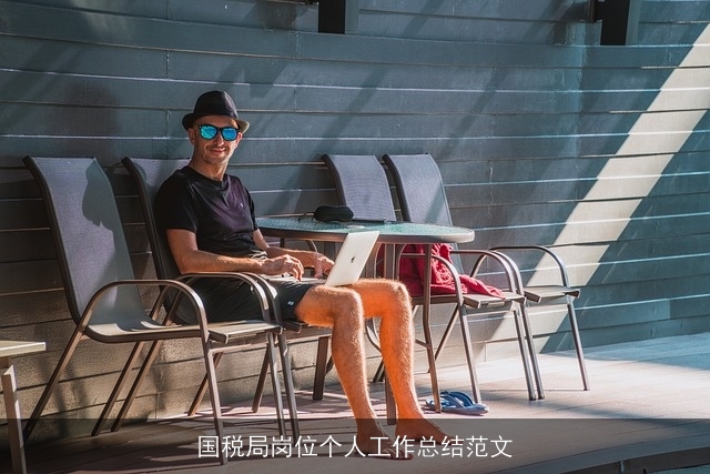 国税局岗位个人工作总结范文