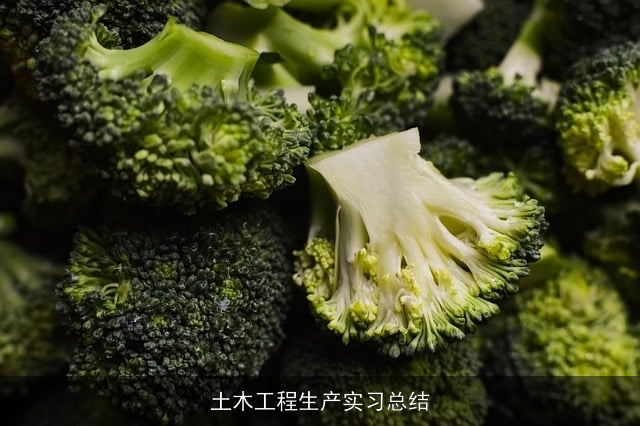 土木工程生产实习总结