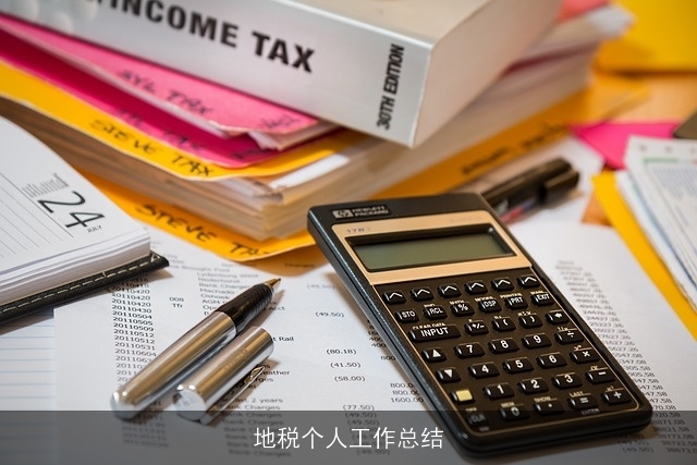 地税个人工作总结