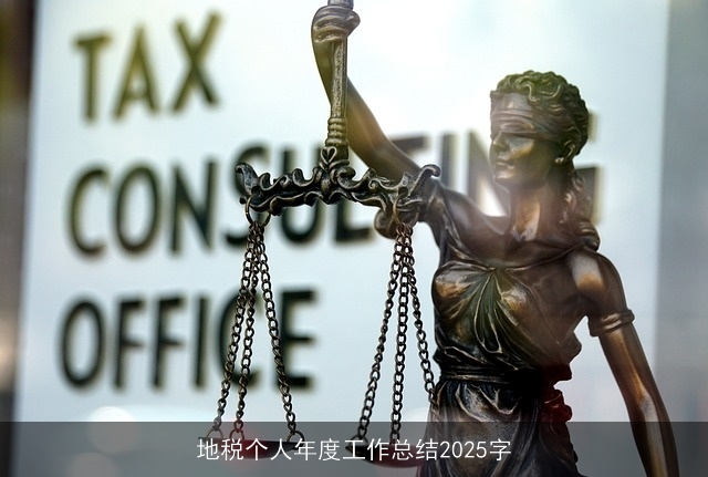 地税个人年度工作总结2025字