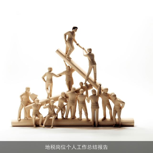 地税岗位个人工作总结报告