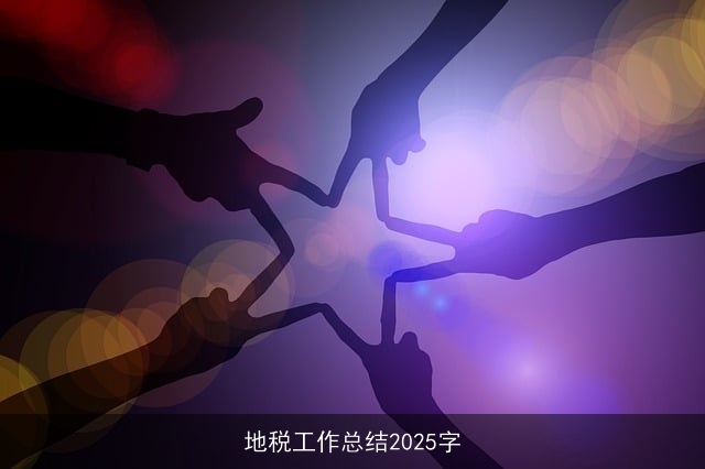 地税工作总结2025字